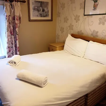 Hostel Darcy's